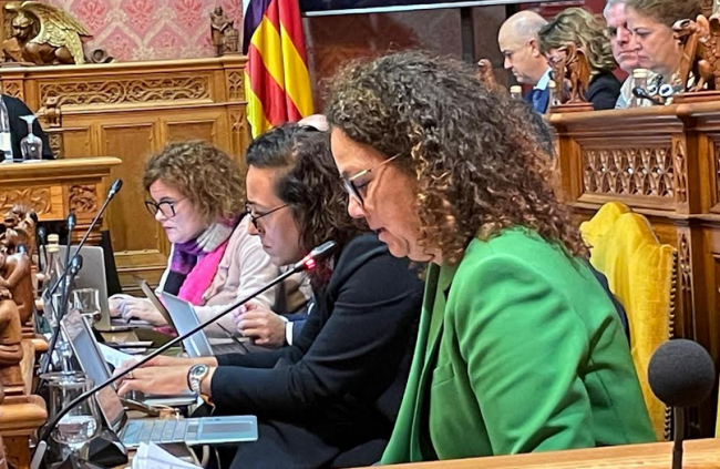 PSIB: 'El Consell de Mallorca PPVOX deja de reivindicar los derechos del colectivo LGTBI en el día contra la LGTBI-fobia'