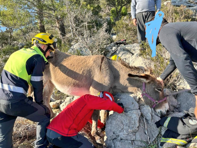 Rescate de una burra atrapada entre dos rocas