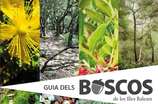 Xarxa Forestal publica la tercera edición de la Guía de los bosques de las Illes Balears