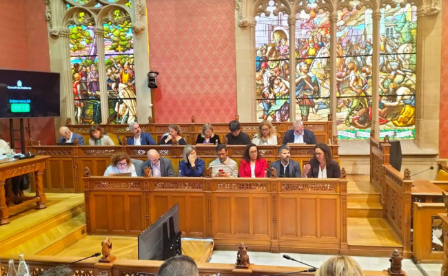 PSIB: 'PP-VOX en el Consell vota en contra de rechazar los discursos de odio, racismo, xenofobia e intolerancia a las instituciones'