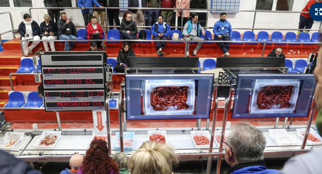 El Consell de Mallorca destina 100.000 euros a las cofradías de pescadores de la isla