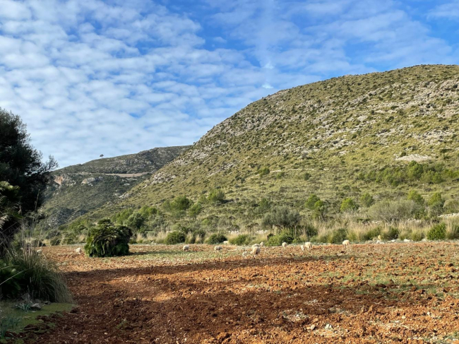 Sacan por primera vez a licitación la explotación de una finca pública para el aprovechamiento agropecuario