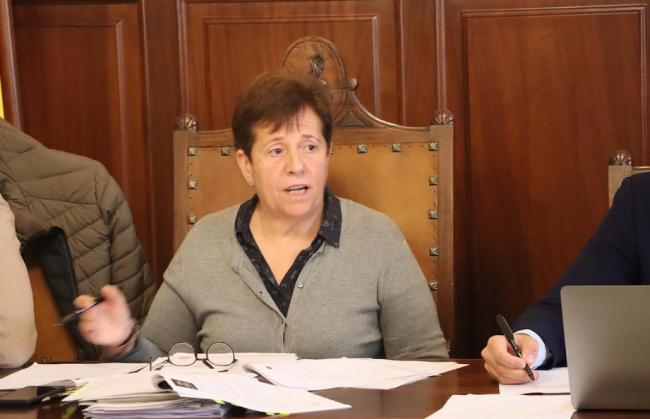 El pleno de Santanyí aprueba la
creación de licencias temporales
de taxi