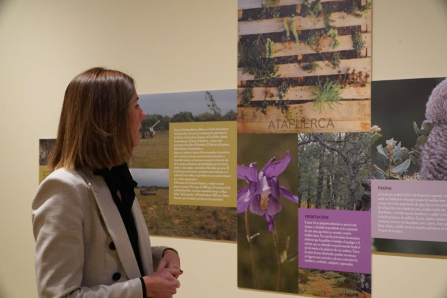 Reabren la capilla de la Misericordia con la exposición Espacios Naturales
