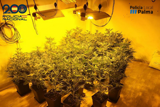 La Policía Nacional detiene a una mujer por un delito de tráfico de drogas