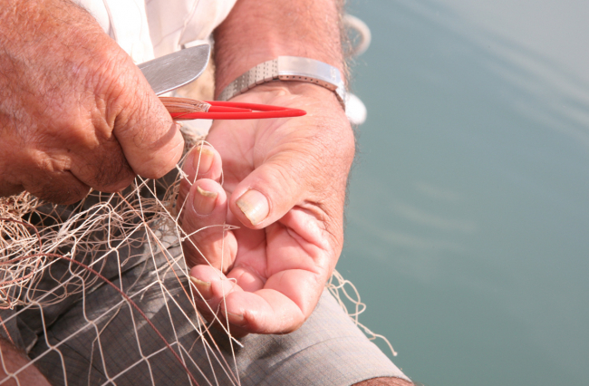 El Govern presenta las líneas estratégicas de la pesca balear y reclama una reforma del MAP adaptada a la realidad mediterránea