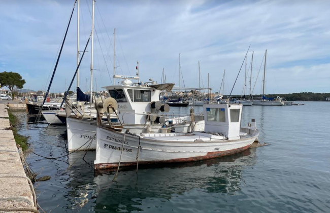 La Fundación Palma Aquarium y la Federación de Cofradías de Pescadores de las Islas Baleares unen esfuerzos en pro de la conservación marina