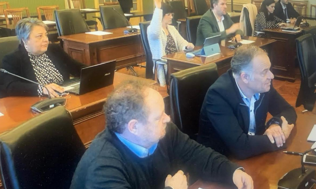 La Sindicatura de Cuentas auditará la gestión de Pilar Bonet como concejala de Hacienda del Ayuntamiento de Llucmajor