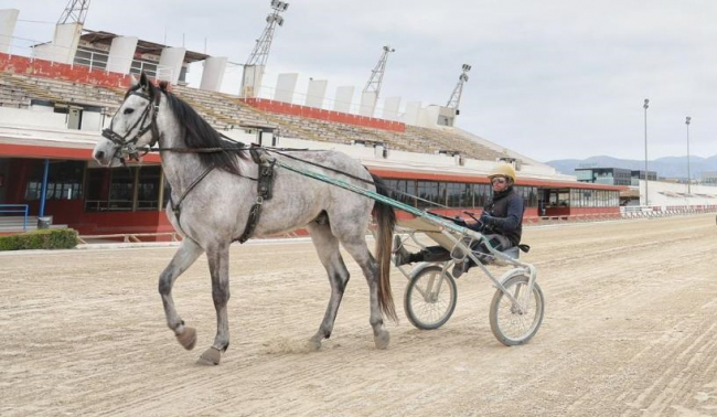 El Consell de Mallorca incrementa un 21% la subvención a la Federación Balear de Trote