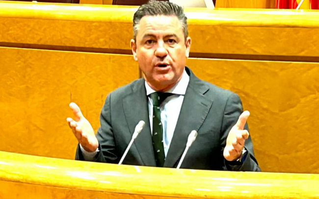 Jerez (PP Balear): “La ley de amnistía no propone unidad sino impunidad para volverlo a hacer”