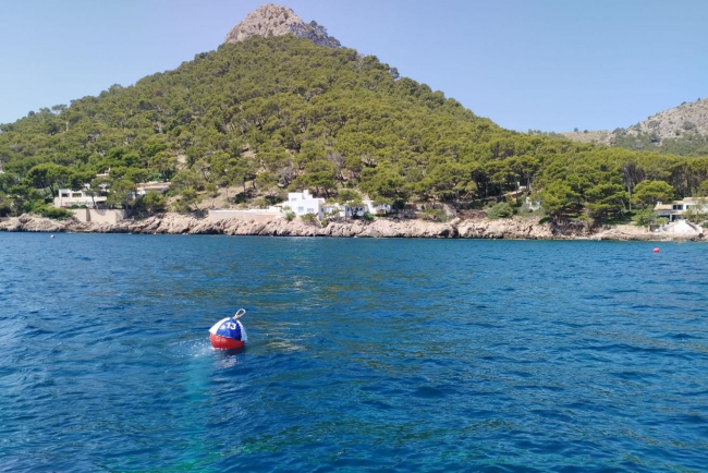 PortsIB activa la reserva de boyas en el campo de fondeo de Formentor