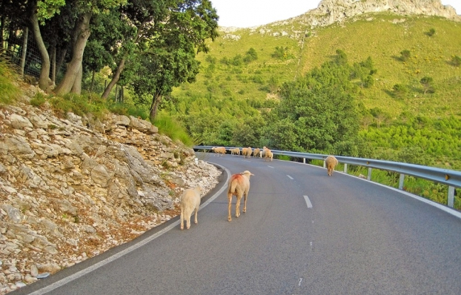Pago de las subvenciones de 2023 por las dificultades que plantea la producción agrícola en zonas de montaña