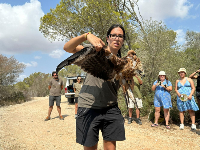 Agricultura, Pesca y Medi Natural libera en el Parque Natural de Mondragó cinco milanos