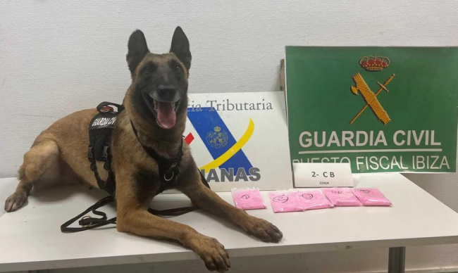 La Guardia Civil ha detenido a una mujer por un delito de receptación de un paquete de droga mediante envío postal