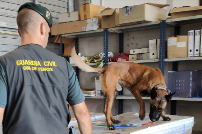 La Guardia Civil ha investigado a dos personas por la venta de droga en un establecimiento de Magaluf