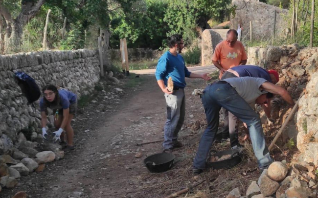 Curso de Piedra en Seco en la finca de Galatzó para preservar la técnica artesanal de construir márgenes o paredes