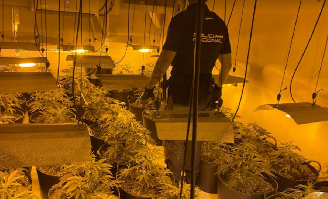 La Policía Nacional detiene a un hombre por una plantación en un piso que había sido recuperado tras una ocupación