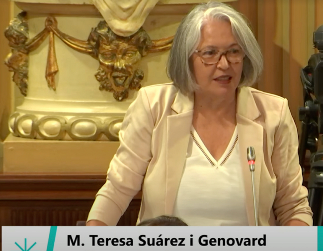 El PSIB-PSOE denuncia el rápido deterioro de servicios públicos por los recortes del Gobierno del PP, que favorecen a los privados