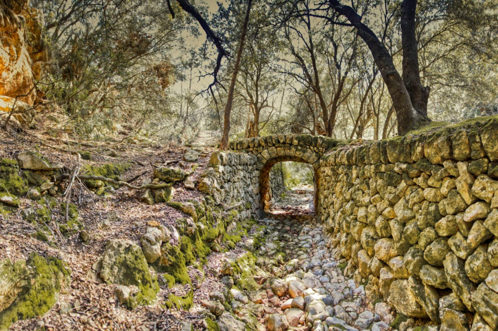 Ya se conocen los doce ganadores del Certamen de Fotografía Serra de Tramuntana