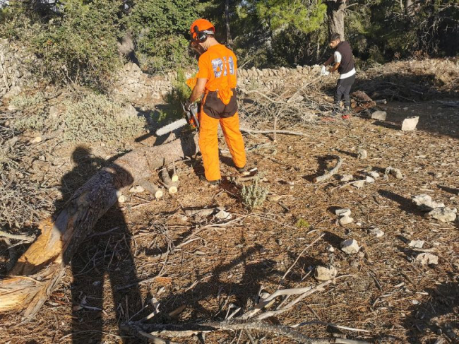 Voluntarios de Alaró limpian el camino del Verger hacia el Castell d'Alaró
