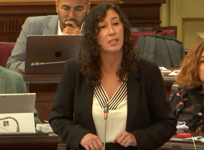 El PSIB-PSOE denuncia injerencias de entidades ultras en los centros educativos por la elección lingüística, con la complicidad de la Conselleria