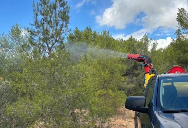 El Ayuntamiento de Marratxí concluye la campaña de tratamiento preventivo contra la procesionaria del pino