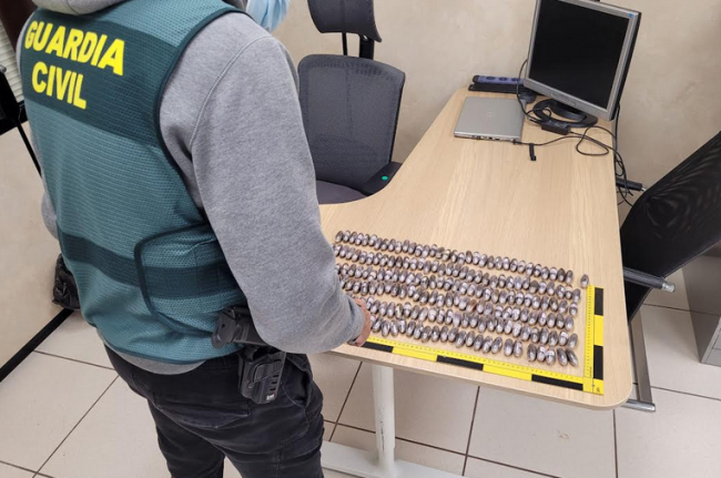 La Guardia Civil ha detenido a dos personas por el envío de 200 bellotas de hachís