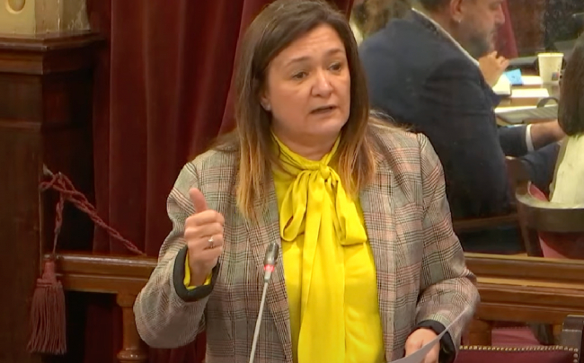 El PSIB-PSOE exige al Govern una moratoria para evitar que sigan entrando peticiones para construir y legalizar edificaciones en zonas inundables