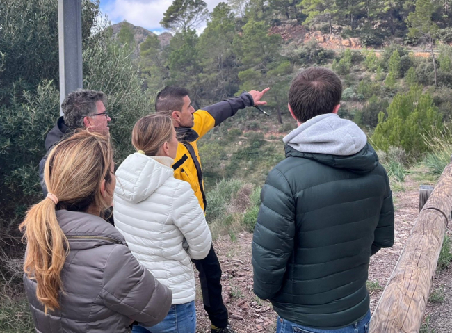 El viento complica la extinción del incendio de Andratx