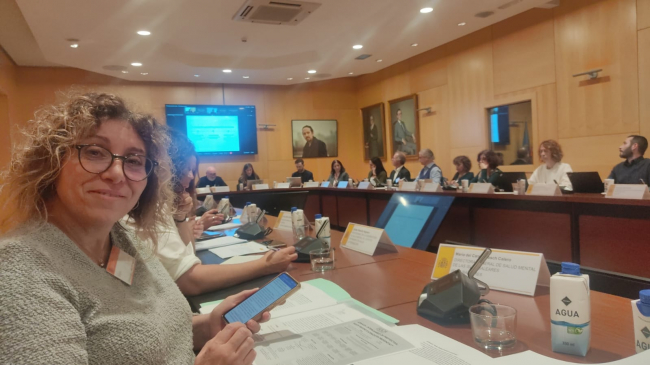 Las Islas Baleares presentan al resto de comunidades autónomas 3 programas innovadores de salud mental