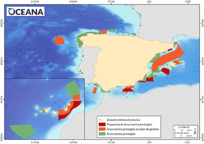 Oceana critica al Gobierno de España por retrasar, una vez más, el cumplimiento de los objetivos de protección marina