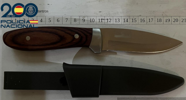 La Policía Nacional detiene en Palma a un varón por zarandear y amenazar a su madre con un cuchillo