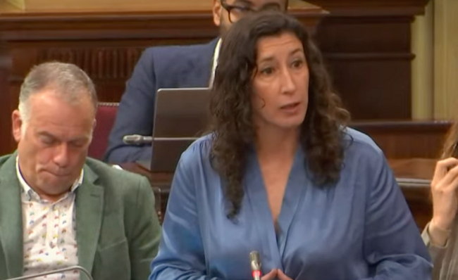 El PSIB-PSOE denuncia la falta de medidas del Gobierno del Prohens contra la saturación turística