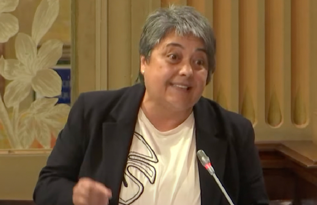 El PSIB-PSOE acusa a Prohens de querer crear en Palma viviendas por 350.000 euros, accesibles por menos de un privilegiado 5% de la población