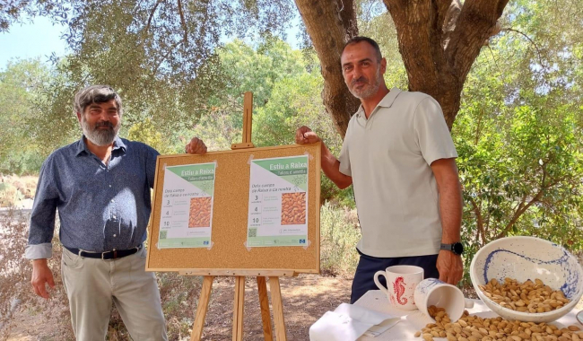El Consell de Mallorca abre la inscripción para el ciclo de talleres «Estiu a Raixa» 2025 dedicado a la almendra 