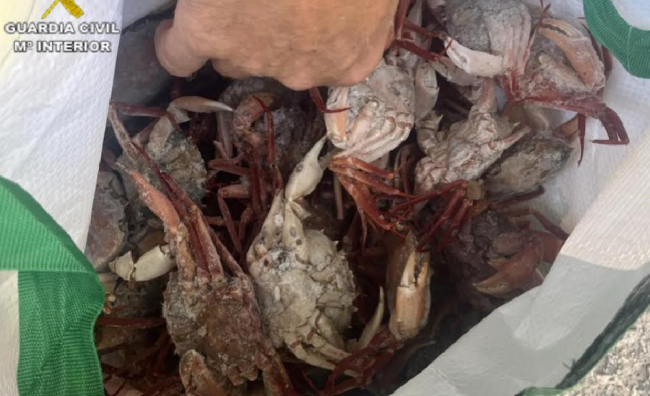 La Guardia Civil refuerza el control sobre el comercio de marisco en Menorca