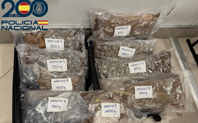 La Policía Nacional detiene a tres personas por tráfico de drogas en el puerto de Palma procedentes de Barcelona