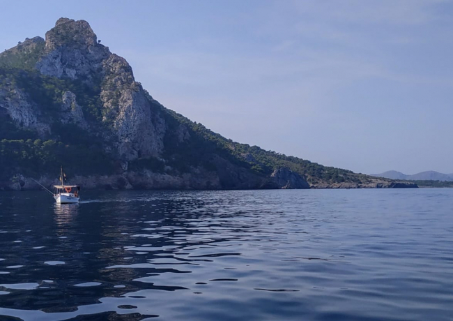 El Govern abre expediente sancionador a una embarcación profesional por pescar dentro de la zona integral de la Reserva Marina del Levante de Mallorca