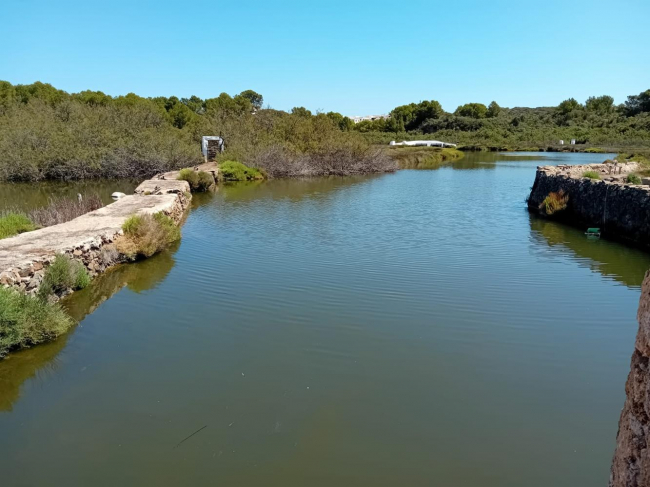 El Govern celebra los 30 años del Parque Natural de s'Albufera des Grau con una jornada festiva abierta a toda la población