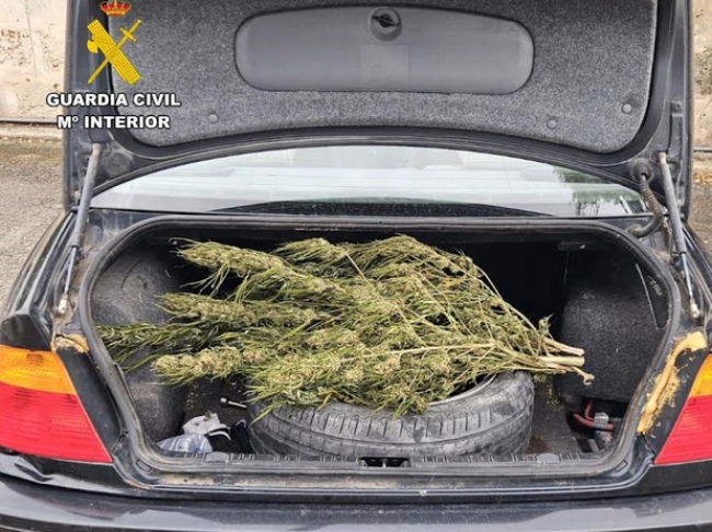 Circulaba con su vehículo sin permiso de conducir, sin seguro
obligatorio, ni ITV y con el maletero cargado de marihuana