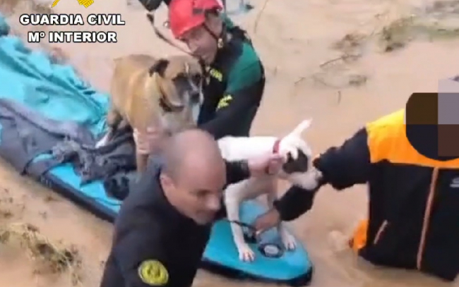 La Guardia Civil ha llevado a cabo
numerosos rescates en la isla de Ibiza con motivo de las fuertes lluvias