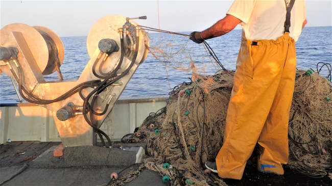 El Govern impulsa REMAR2 para reforzar la sostenibilidad de la pesca en las Illes Balears
