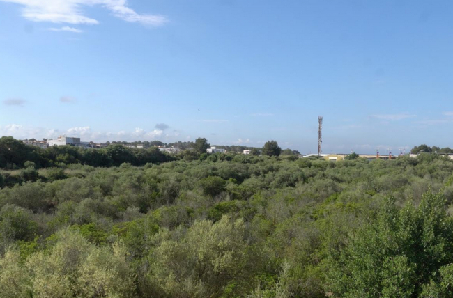 Marratxí inicia la mejora paisajística y la creación de una Vía Verde que conectará el polígono de Marratxí con Es Figueral