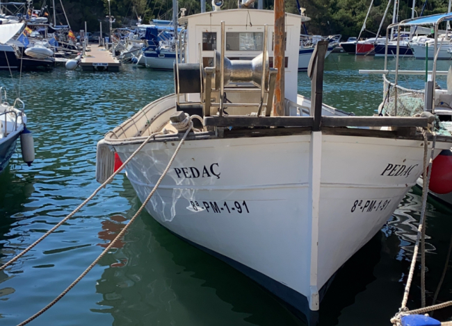 El Govern remite al Ministerio alegaciones contra el nuevo reglamento DEA y apoya la protesta del sector pesquero