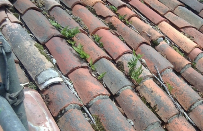 El PP de Manacor pide al alcalde medidas urgentes para garantizar la seguridad de los edificios y evitar nuevas tragedias