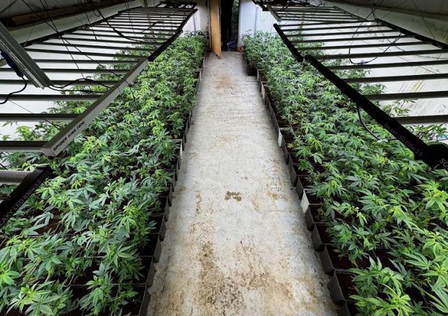 La Guardia Civil de Sineu investiga a dos personas por un supuesto delito de tráfico de drogas