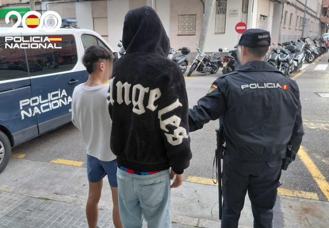 La Policía Nacional detiene a dos hombres por agredir a una mujer para robarle el bolso