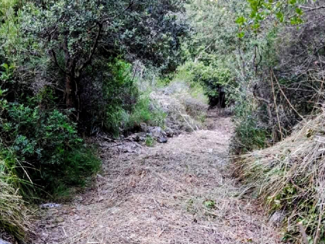 El Ayuntamiento de Bunyola regula el uso de dos caminos de sa Comuna para preservarlos de la erosión