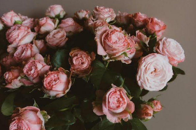Qué flores elegir para San Valentín según el lenguaje de las flores
