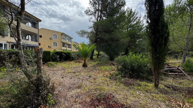 El IBAVI adjudica los proyectos técnicos de las nuevas promociones de 25 viviendas en Port de Pollença y de 16 en Petra